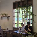 1367 | 대전 대형카페 투드커피, 당근라페샌드위치•투드라떼•핸드드립커피 솔직 후기
