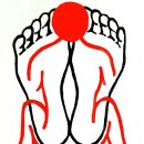 125활인건강 이미지