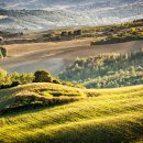 올리브호텔 이미지