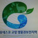 대산초등학교 이미지