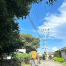 조수리 플로어 이미지