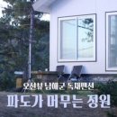 파도가머무는정원 이미지