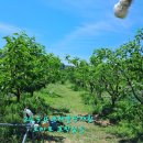 청구농장 이미지