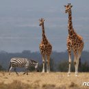 삼부농장 이미지