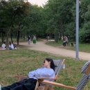 원피그 이미지