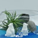 율포초등학교병설유치원 이미지