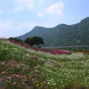 도담정원 이미지