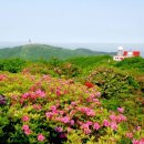 바람개비 이미지