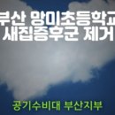 망미초등 이미지