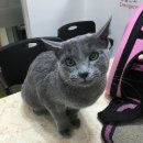 산호동물병원 이미지