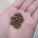 거여경희한의원 이미지