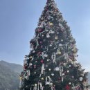 분천2리 이미지