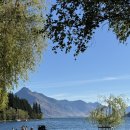 효기농장 | 뉴질랜드 신혼여행 자유여행 9박 10일 일정 ㅣ 남섬5일 더니든2일 북섬1일 2월 날씨