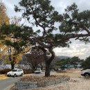 신할 충신 정려 이미지