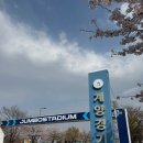 인천광역시 계양경기장 아시아드양궁장 | 인천 벚꽃 명소 계양경기장 양궁장 무료 주차 개화현황 (2026.04.06)