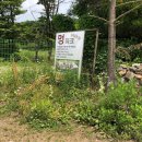 와와멍# 이미지