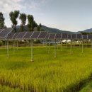 기성태양광발전소 이미지