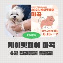 2025년 케이펫페어 마곡 방문후기 및 떼샷