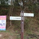 예향천리마실길 10코스 가시연꽃길 이미지