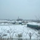 아나덴 슈가링왁싱 일산백석역점 | 일산 백석왁싱 눈썹왁싱 잘하는 아나덴 슈가링왁싱샵 일산 백석역점