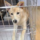 로뎀동물병원 이미지