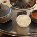 해오름껍데기 이미지