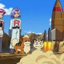 꼬리살랑 이미지