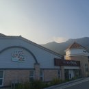 파크자연약국 이미지