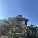 MOON(문) | [문경여행 카페 후기] 햇살이 머무는 공간, 문경 감성카페 ‘애플문(Apple Moon)’내돈내산 후기