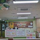 붕붕카센터 | [세종 도담동]넓은 공간에서 붕붕카 타기 딱 좋아요! - 20개월 아들과 함께