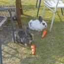 타임스토리펜션 이미지