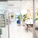 케이디펫 이미지