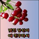 💝 만세 소생법 💝 이미지