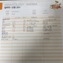 강미자산부인과의원 | 동작구 강미자산부인과 &amp; 청화병원 임신전검사 / 초음파검사 / 난소나이검사