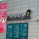 강릉 반려견 호텔 유치원 로젯펫살롱 세인트존스호텔점 이미지