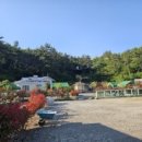 사천파인트리캠핑장