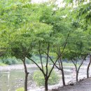 이야펜션 이미지