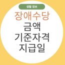 2025년 장애수당 금액 얼마? | 기준 자격 | 지급일 | 인상 내용 이미지