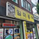 일미홍어