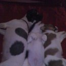 동미농장 이미지