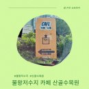 산골나들이 | 시흥 물왕저수지 감성가득 볼거리 많은 산골수목원 카페 내돈내산 아기랑 힐링 나들이 🌿