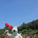 세븐일레븐부천도당중앙점 | 지하철 타고 떠난 부천 꽃 여행 백만 송이 장미원 장미축제 후기