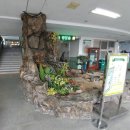 형남초등학교학예발표회장식 이미지