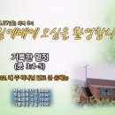 거룩한 열정 (룻 3:1-5) 이미지