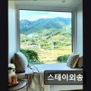 스테이외송 | 스테이외송 숲속 단독 펜션 힐링