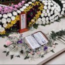 비담상조