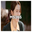 MS365 | 기업 생산성 향상 핵심, MS365 도입 후기