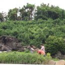 비울채울 이미지