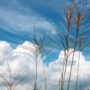 산막이선착장 이미지