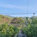 김대규농장 이미지